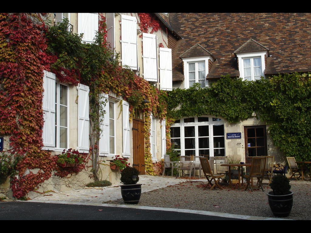 Hotel Le Relais Du Lyon D'Or Angles-sur-lʼAnglin Exterior foto